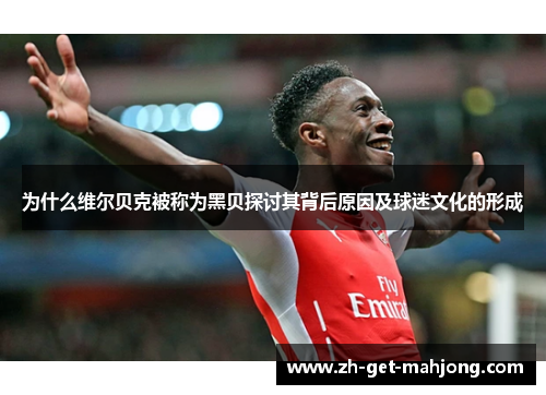 为什么维尔贝克被称为黑贝探讨其背后原因及球迷文化的形成 为什么维尔贝克被称为黑贝探讨其背后原因及球迷文化的形成