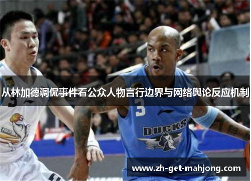 从林加德调侃事件看公众人物言行边界与网络舆论反应机制