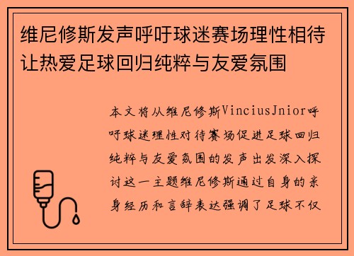 维尼修斯发声呼吁球迷赛场理性相待让热爱足球回归纯粹与友爱氛围